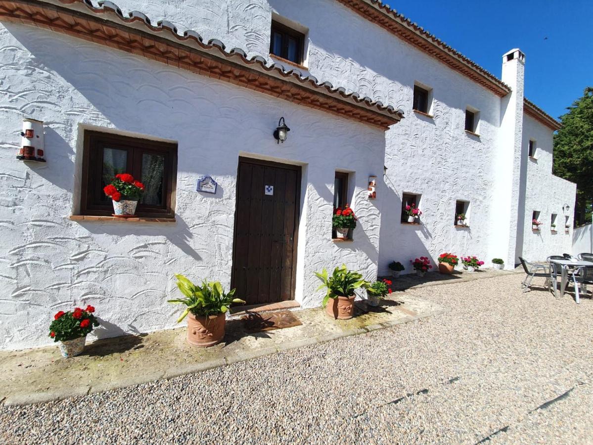 La Luna Del Sur B&B Alfacar Zewnętrze zdjęcie